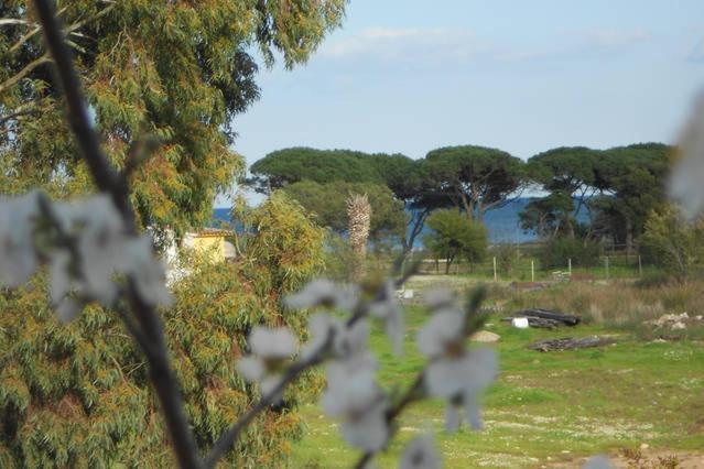 Trilo 350m Dalla Vista Mare Budoniaffitti Holiday home *