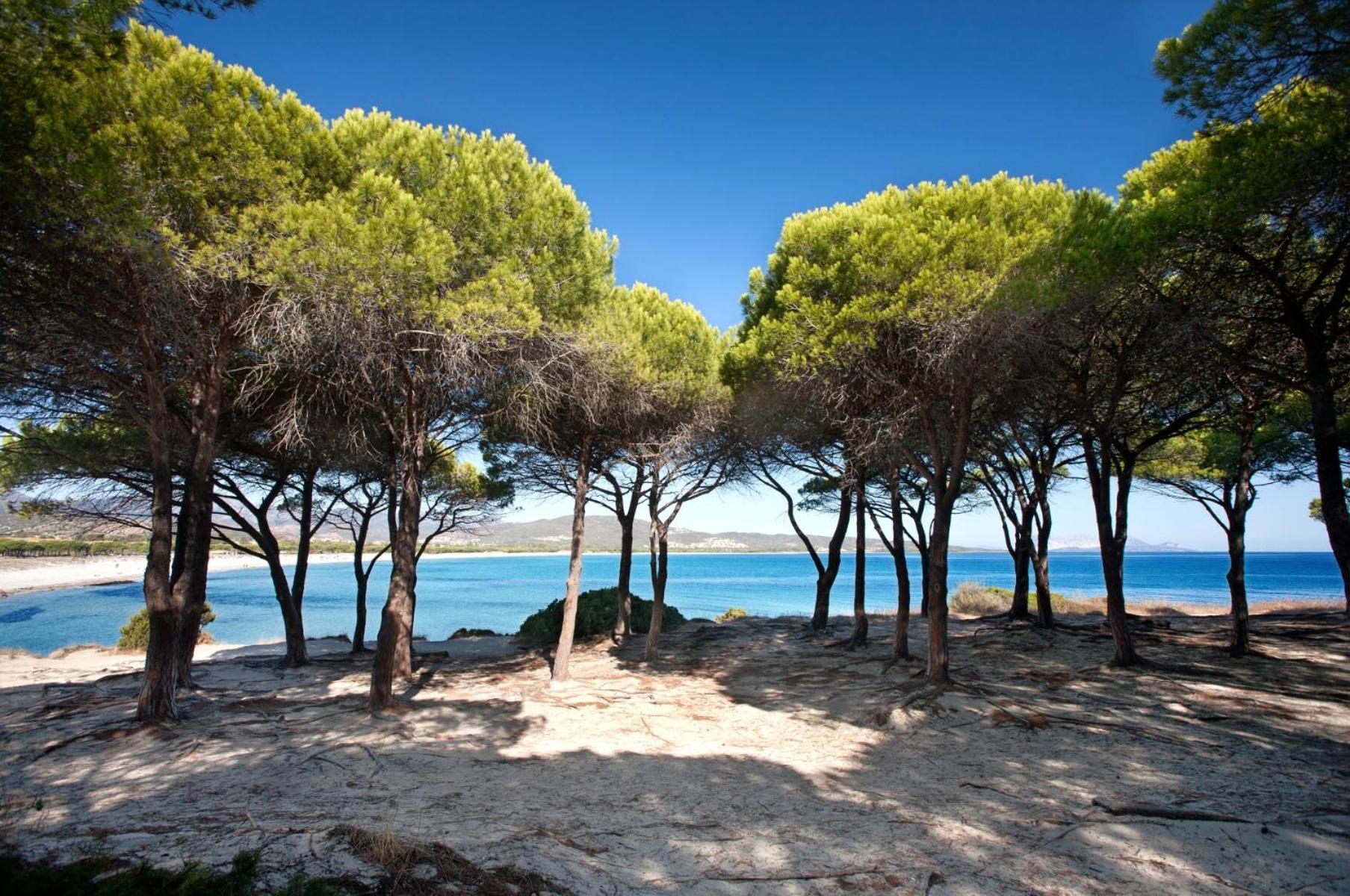 Trilo 350m Dalla Vista Mare Budoniaffitti * Budoni